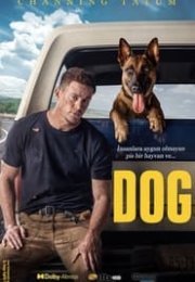 Dog 2022 Türkçe Dublaj 720P