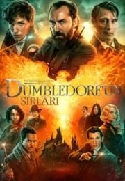 Fantastik Canavarlar Dumbledore’un Sırları